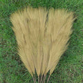 Sztuczna trawa pampasowa