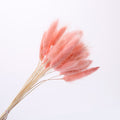 Naturalnie suszone kwiaty -lagurus ovatus