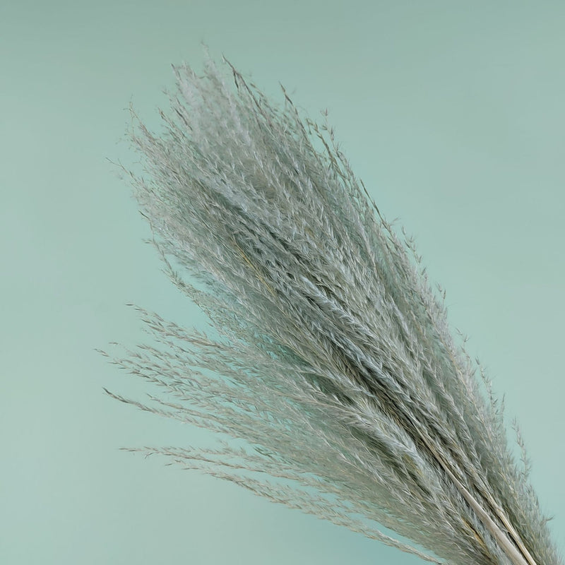 Sztuczna roślina -Trawa pampasowa
